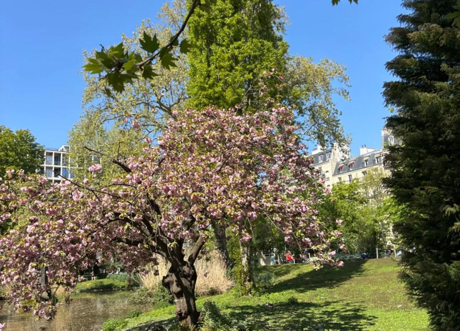 Appartement Paris - coeur Batignolles - Studette 10 m2 - neuf