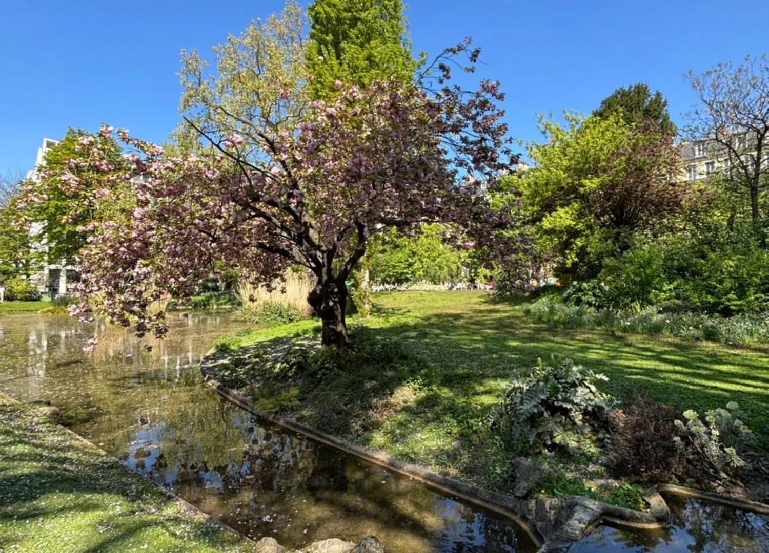 Parisian Cozy Studio: Batignolles Charm Near Landmarks France